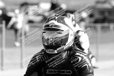 media/Feb-23-2025-2WTD (Sun) [[9604a77d5d]]/1-Around the Pits/